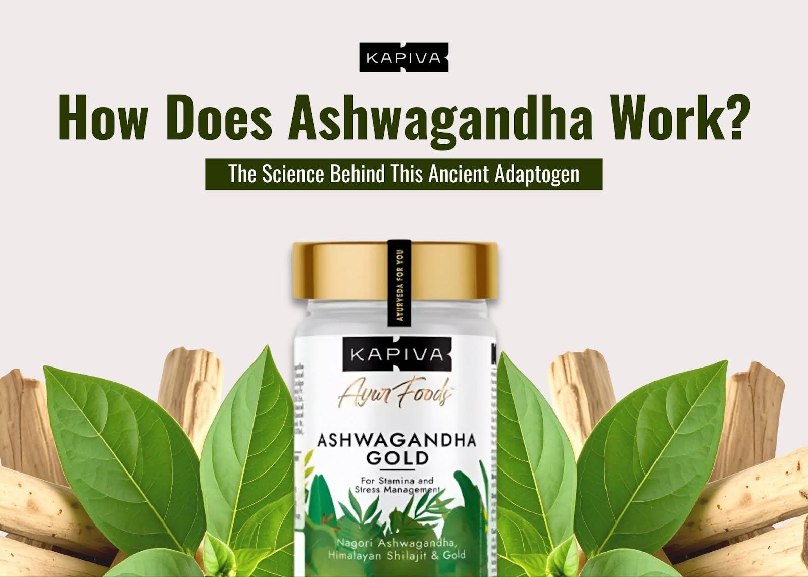 How Does Ashwagandha Work? The Science Behind This Ancient Adaptogen