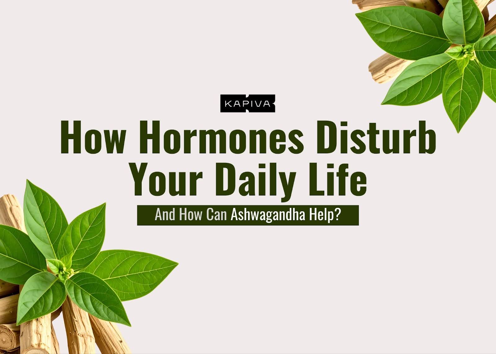 How Hormonal Imbalance Disturbs Your Daily Life, And How Can Ashwagandha Help?
