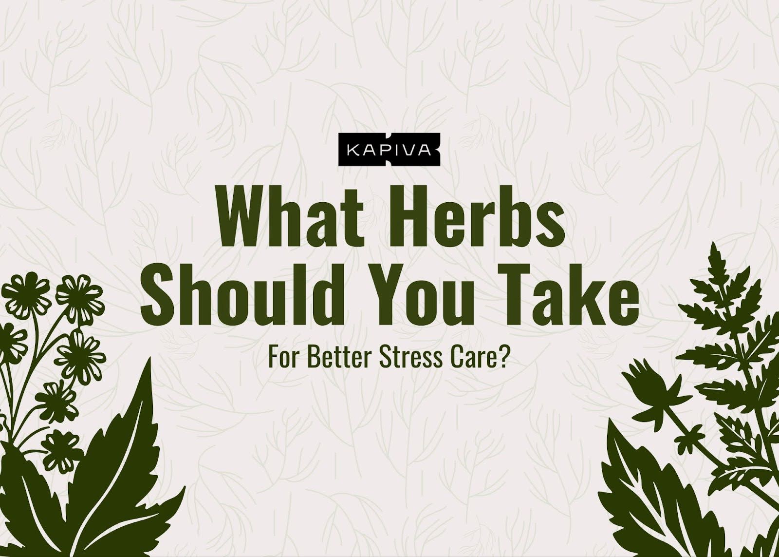 What Herbs Should You Take For Better Stress Care?